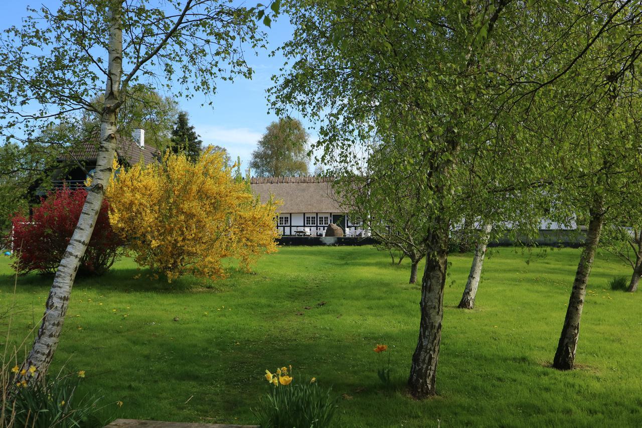 Birkelygaard Bed & Breakfast Hårby 외부 사진